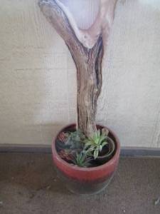lot 1151 image: tree branch dcor in pot