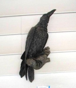 lot 1156 image: crowblack bird on branch dcor