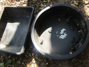 lot 1222 image: 2 large black outdoor planters
