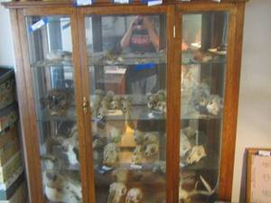 lot 1345 image: curio cabinet on wheels - 634714 CONTENTS NOT INCLUDED