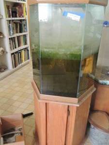 lot 1035 image: HEXAGON AQUARIUM