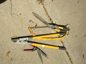 lot 1929 image: tree trimmers, hand saw
