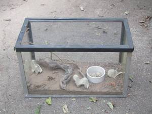 lot 1463 image: small reptile cage