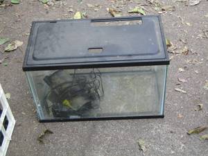 lot 1469 image: small fish aquarium