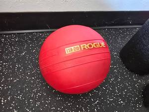 lot 19 image: Rogue ESB-20 Echo Slam Ball, 20lbs