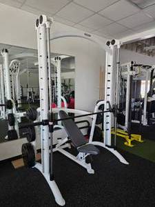 lot 40 image: Matrix Aura MG-PL62 Smith Machine w Plate Weights.  Weights Include 45lm (Qty 6), 25lb (Qty 4), 10lb (Qty 4), 5lb (Qty 2), 2.5lb (Qty 2)