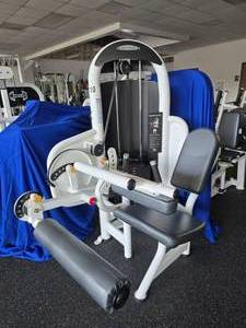 lot 46 image: Matrix Aura Seated Leg Curl Machine