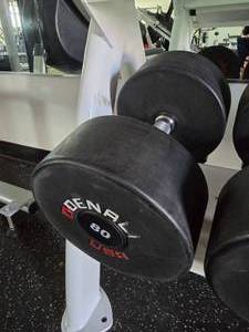 lot 61 image: Denali USA Pro Style Urethan Dembbell, 80lbs