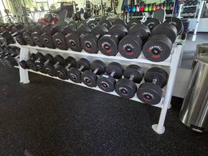lot 76 image: Cybex Pro Style Commercial Dumbbell Rack.  Weights Not Included.  Measures Approx 90 Long