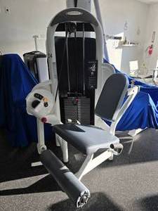 lot 124 image: Matrix Aura Leg Extension Machine