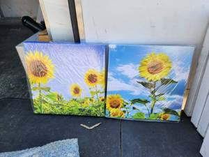 lot 164 image: Spirit Up Art - 2 panels - ready to Hang