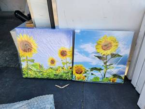 lot 168 image: Spirit Up Art - 2 panels - ready to Hang