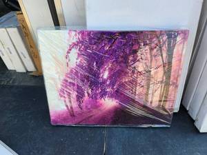 lot 165 image: Spirit Up Art - 12x16 - ready to Hang - Qty 2