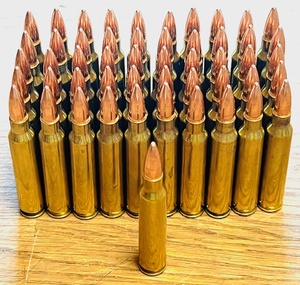 lot 281 image: 51 Rounds of .223 Ammo