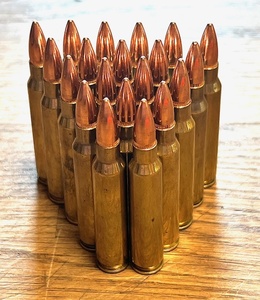 lot 282 image: 18 Rounds of 5.56 Ammo