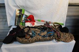 lot 195 image: Dog lot small dog bed leashes collars outfits and mega roller