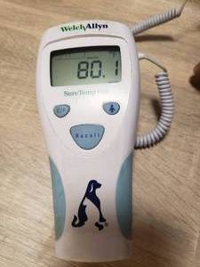lot 59 image: WELCH ALLYN SURE TEMP PLUS