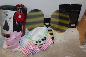 lot 207 image: Halloween Costumes and Accessories
