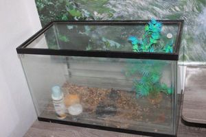 lot 212 image: Fish Tank and Accessories as Shown