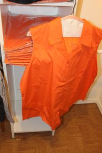 lot 238 image: Twenty-two Mandrin Colored Sleeveless Womens Tops, All Unworn