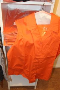 lot 237 image: Twenty-two Mandrin Colored Sleeveless Womens Tops, All Unworn