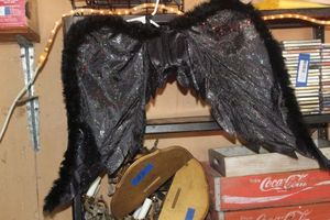 lot 377 image: Black Costume Wings