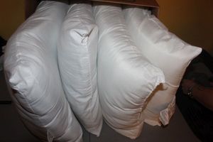 lot 444 image: Several Pillows, look unused