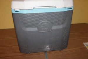 lot 449 image: Igloo cooler