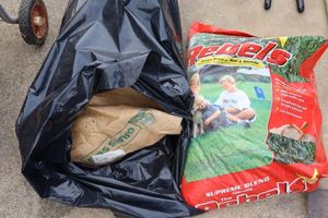lot 231 image: Grass seed - 2 bags as shown
