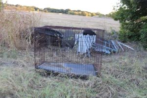 lot 259 image: Large Kennel