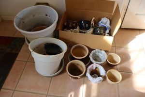 lot 196 image: Planters and flower pots large plastic pots and small nesting glazed pots