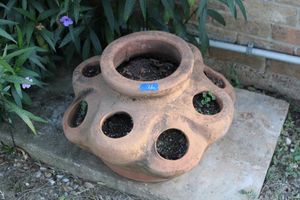 lot 72 image: Terra cotta strawberry pot