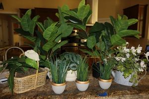 lot 236 image: Artificial plants