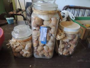 lot 245 image: Various seashells in jars qty 3