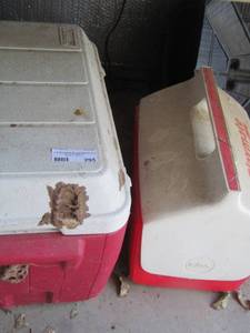 lot 295 image: qty 2 coolers 1 big 1 small