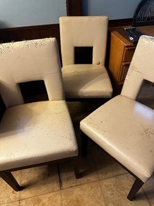 lot 307 image: Chairs with Vinyl padded. Qty 6 ( cat has clawed them)