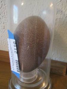 lot 2110 image: EMU egg