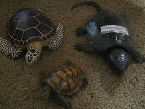 lot 2141 image: beautiful turtle dcor