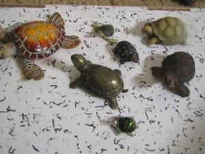 lot 2143 image: mini turtles for display