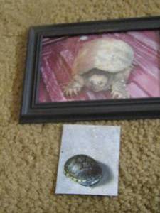 lot 2144 image: framed turtle art , small figurine