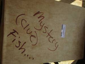 lot 2028 image: MYSTERY BOX (CLUE) FISHING