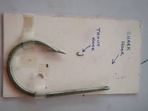 lot 2029 image: large shark hook