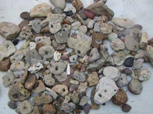 lot 2331 image: misc. rocks