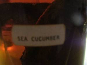lot 2243 image: sea cucumber in jar