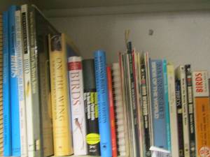 lot 2153 image: large assortment book lot