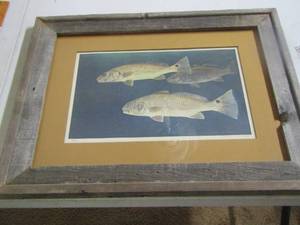lot 2176 image: Charles Beckendore framed fish art SIGNED & NUMBERED 64500