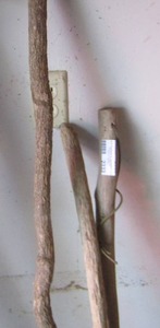 lot 2333 image: qty 3 wooden walking sticks