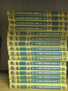 lot 2432 image: the illustrated encyclopedia of animal life book series