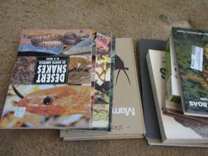 lot 2228 image: snake books