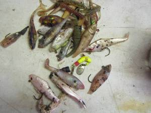 lot 2297 image: SEVERAL FISHING LURES
